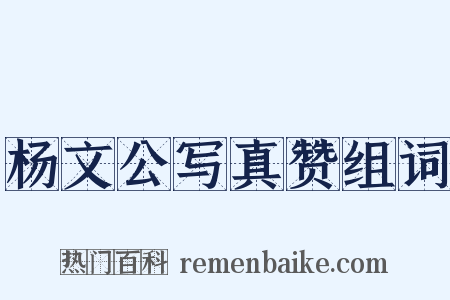 杨文公写真赞组词是什么意思的图片
